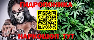 jwh Кингисепп