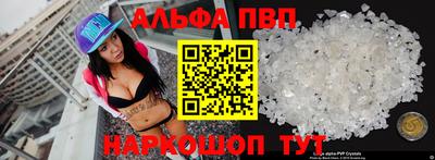 jwh Кингисепп