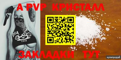 jwh Кингисепп