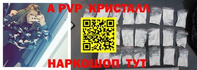 jwh Кингисепп