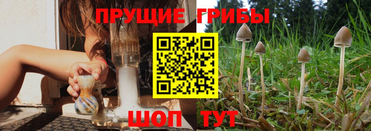 Псилоцибиновые грибы GOLDEN TEACHER  Вход с VPN  Кубинка 
