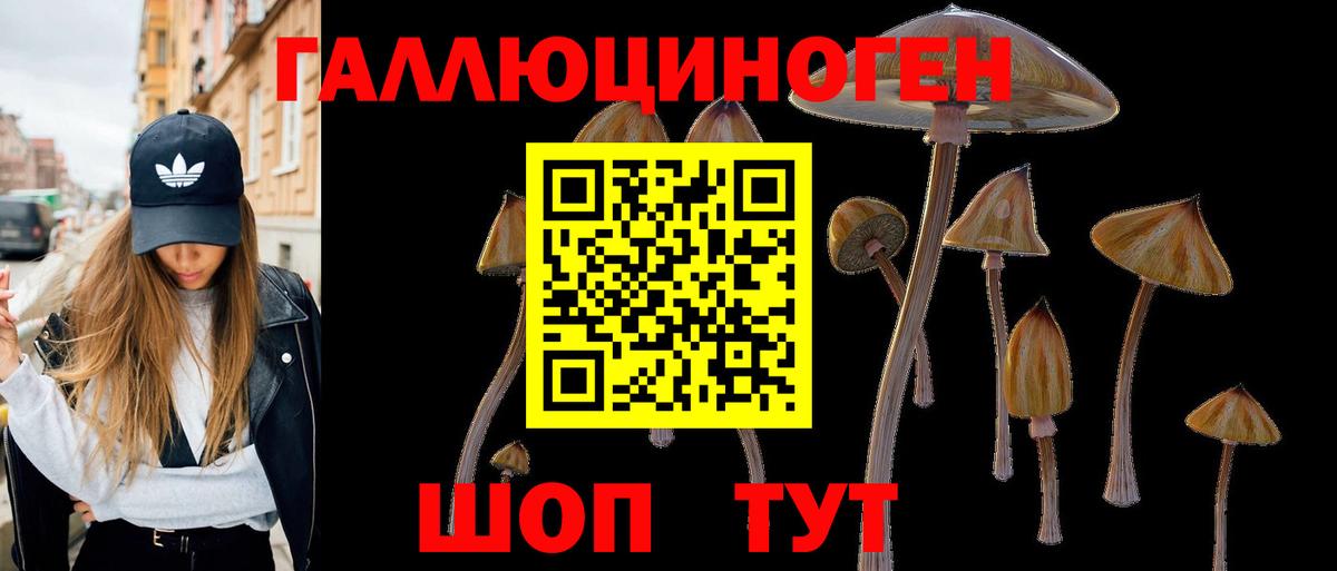 Псилоцибиновые грибы мухоморы Кубинка